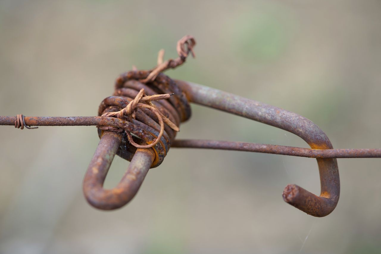 Vignoble Fil de fer 2477